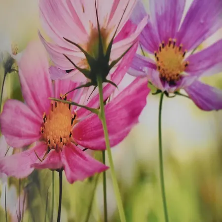 Stipic 2 Apartamento *