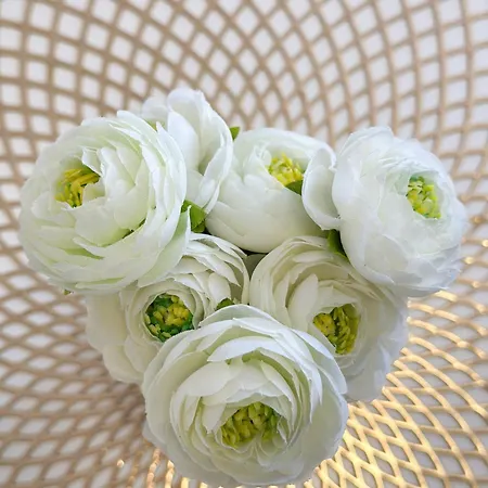 Apartamento Stipic 2 *